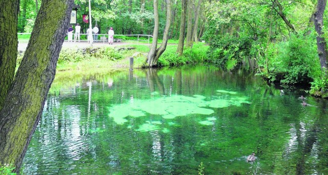 Rezerwat przyrody Niebieskie Źródła