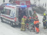 Śmiertelny wypadek w Michalu pod Grudziądzem. Nie żyje kobieta [zdjęcia]