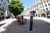 „Szlak Kamienia" - nowa trasa turystyczna w Świdnicy 