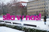 Zima ponownie zawitała do Poznania! Zobacz, jak wygląda ośnieżone miasto. Jak długo utrzyma się śnieg? Szykują się przymrozki
