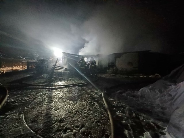 Pożar domków letniskowych w Imielinie. Reakcja psa uratowała domowników