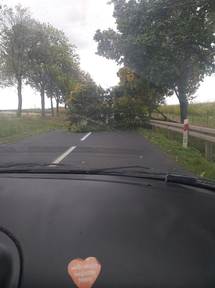 Drzewa pospadały na drogi w powiecie głogowskim