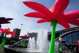 Katowice: Rondo im. Ziętka zakwitło! 10 olbrzymich kwiatów rozbłyśnie nocą