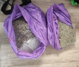 Areszt za narkotyki w Lesznie. 25-latek  miał w domu niezły magazyn substancji. Znaleziono też coś, co policja wciąż bada