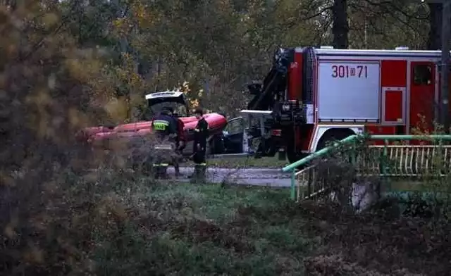 W poszukiwaniu fragmentów zwłok pomagali strażacy