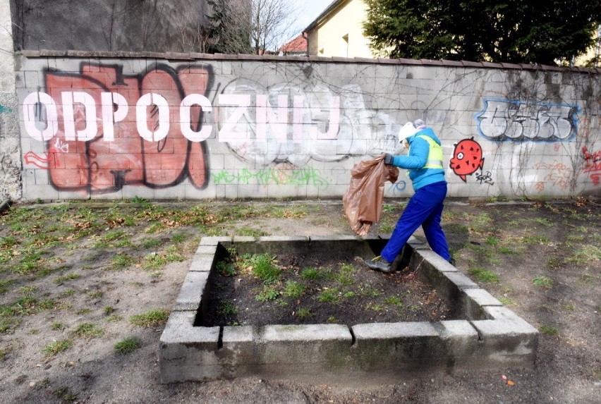 Zmienić ma się m.in. skwer przy ul. Kopernika w Zielonej...