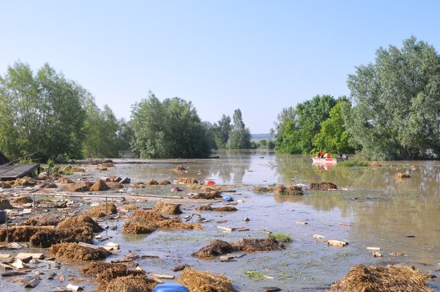 Janowiec nad Wisłą, 8 czerwca rano