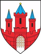 Poznaj kandydatów na radnego Rady Miasta Malborka. Wybory uzupełniające już 22 marca