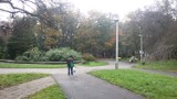 Park przy Mościckiego powinien przejść remont, ale nie ma pieniędzy [ZDJĘCIA]