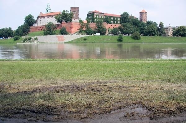 Krakowskie wianki zatopiła majowa powódź. Nie będzie gwiazd