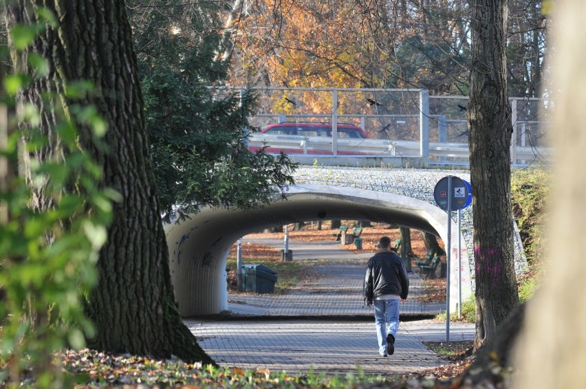 Park Piastowski w Zielonej Górze w jesiennej odsłonie.