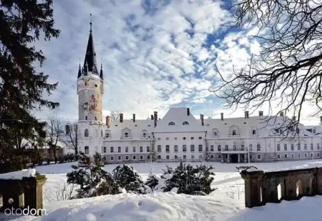 Perła wśród pałaców Ziemi Kłodzkiej! Bajkowy zespół pałacowy zbudowany na szkielecie barokowej budowli z 1787r. Swój wizerunek budynek uzyskał w wyniku przebudowy z 1870r. Pałac zbudowany jest na planie nieregularnym składającym się z przechodzących w siebie skrzydeł. Posiada 3 kondygnacje, dach w większości czterospadowy oraz dwie wieże. 

Elewacja budynku zachowała bogatą dekorację głównie przy oknach w postaci szerokich gzymsów. Każde skrzydło pałacu ma nieco odmienną stylistykę. Od strony zachodniej pałacu znajduje się taras. Drzwi główne są drewniane, dekorowane rzeźbieniami.

Wnętrze w większości dobrze zachowane, hol pałacu, dwutraktowa, piękna  klatka schodowa i korytarze wyłożone są ciemną dębiną, w niektórych miejscach boazeria pokrywa również sufit. Niemal wszędzie drewno jest bardzo bogato zdobione rzeźbieniami, kolumnami oraz obrazami wklejonymi w boazerię. Na klatce schodowej, doświetlanej przez świetliki dachowe, wiszą żyrandole z rzeźbionego drewna i jelenich rogów. W wielu salach zachowały się ozdobne piece i marmurowe kominki. Sala balowa posiada bogatą sztukaterię i freski zdobiące ściany i sufit. W rzeźbieniach i sztukateriach w całym pałacu przeważają motywy myśliwskie i architektoniczne. W wielu pomieszczeniach oraz na  klatce schodowej i korytarzach można zobaczyć  świetnie zachowane, skórzane obicia ścian . Wnętrza pałacowe liczą ok 2,5 tys. metrów kwadratowych.

Wokół roztacza się park o pow. 3 ha, z pawilonem ogrodowym z przełomu XVI/XVII w i rozległymi tarasami.

Pełna oferta na PORTALU OTODOM.PL