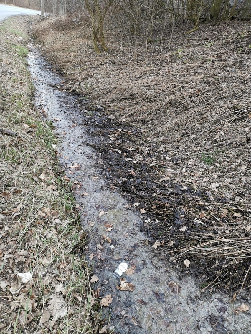 Rów przy Kolejowej został sprawdzony i nie stwierdzono nielegalnego odprowadzania nieczystości