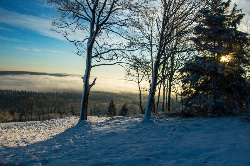 Zima w regionie. Zobacz, jak wygląda Zieleniec [ZDJĘCIA]