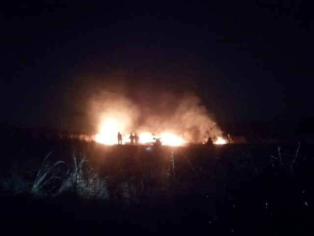 Pożary traw w Libiążu