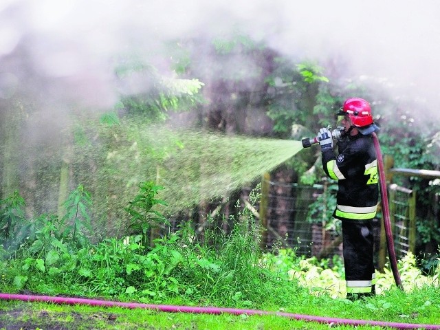 Na Dolnym Śląsku strażacy bardzo często muszą walczyć z ogniem w palących się lasach