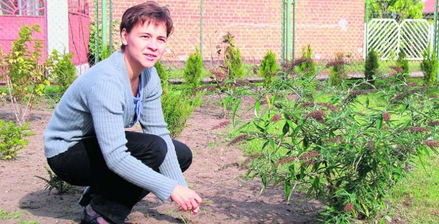 Na temat patrona muszą się wypowiedzieć m.in. nauczyciele. Na zdjęciu Beata Łobocka