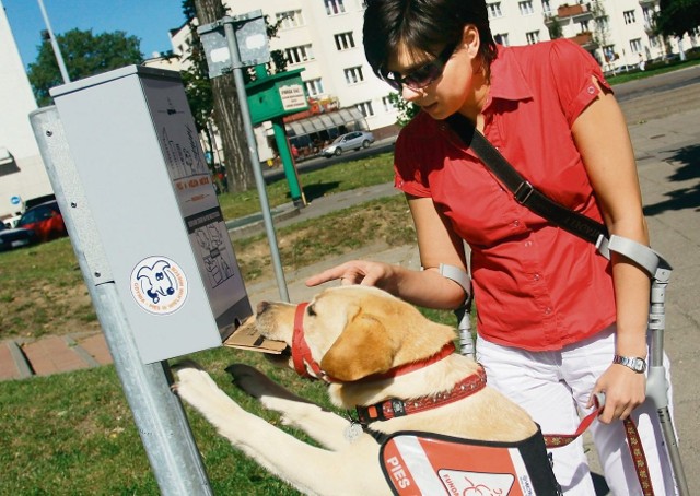Ania Dobkowska  na co dzień nie tylko korzysta z pomocy psa asystującego, ale i sprząta po nim 