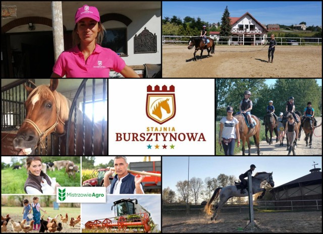 Agroturystyka - Stajnia Bursztynowa, Zdrada 19, 84-100 Puck  - SMS o treści: GAR.93 pod numer 72355

Stajnia Bursztynowa to miejsce do którego chce się wracać lub nie chce z niego wyjeżdżać. Panuje tam zawsze rodzinna i przyjazna atmosfera. Samo miejsce jest niezwykle urokliwe i pięknie położone.W ofercie Stajni Bursztynowej można znaleźć m.in. naukę jazdy konnej, pensjonat dla koni czy trening sportowy.

Właścicielka, Anna Rott, przez wiele lat ciężko pracowała, aby uzyskać tak dobre opinie, jakie krążą o jej stajni, zarówno w cyberprzestrzeni jak w realu:
- Doskonałe miejsce na rodzinny wyjazd. Psiaki mile widziane. Domki świetnie wyposażone, widoki na łąki, konie, psy, koty i kozy i pełny chillout. Pani Aniu, dziękujemy za cudne doznania. - komentowała jedna z odwiedzających Stajnię Bursztynową.