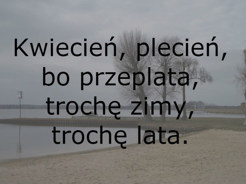  Przysłowia na kwiecień. Prima aprilis: nie czytaj, nie słuchaj, bo się omylisz!