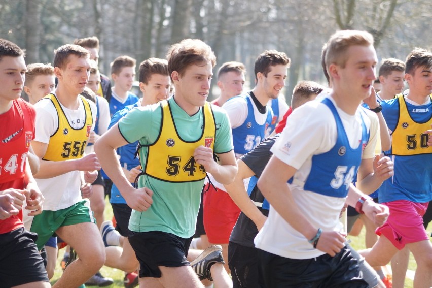 Młodzieżowe biegi w inowrocławskich Solankach [zdjęcia]