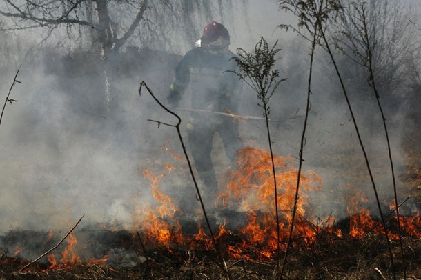 Wczesna wiosna oraz lato to czas, w którym strażacy częściej wyjeżdżają do akcji gaszenia traw.