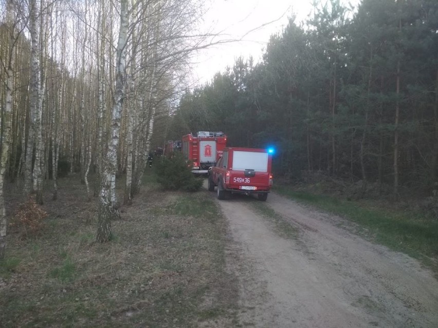 Pożar lasu w gminie Lubiewo. To mogło być podpalenie!
