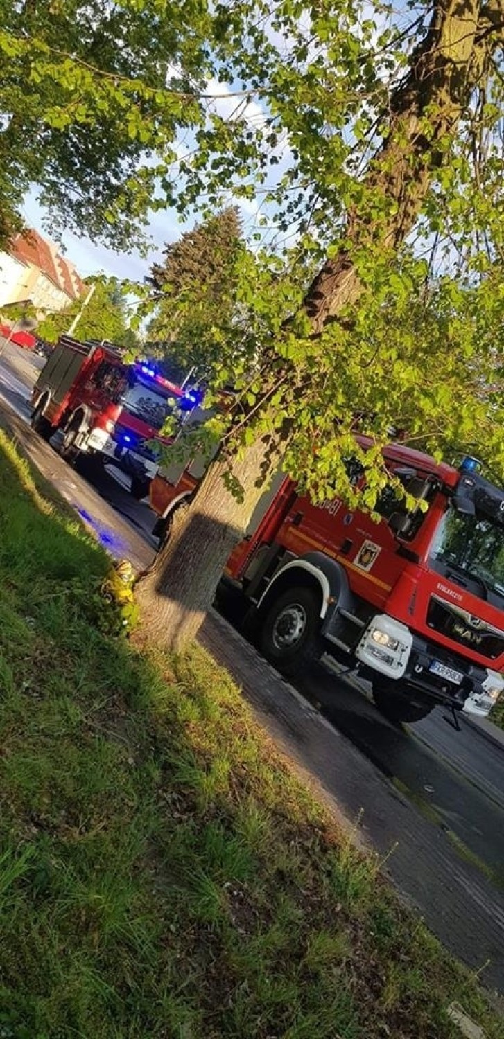 Do pożaru doszło w nocy z 1 na 2 maja w Krośnie Odrzańskim....