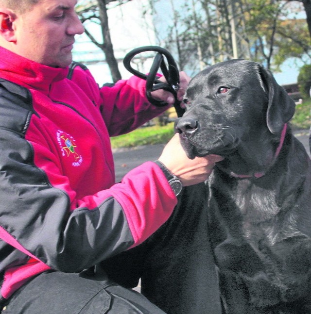 Labrador Ramzes od dwóch lat pracuje w CSRG