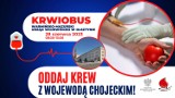 Olsztyn: Oddaj krew z Wojewodą Arturem Chojeckim