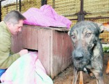 Wałbrzych: Okrutni właściciele trzymają psy na mrozie