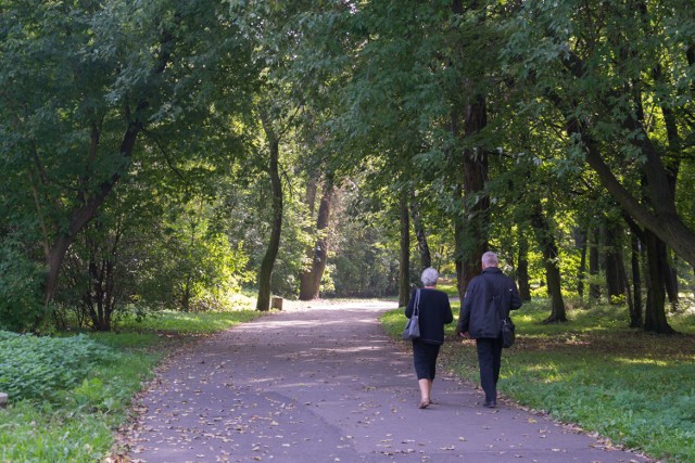 Zmiany w parku Zamkowym [ZDJĘCIA]