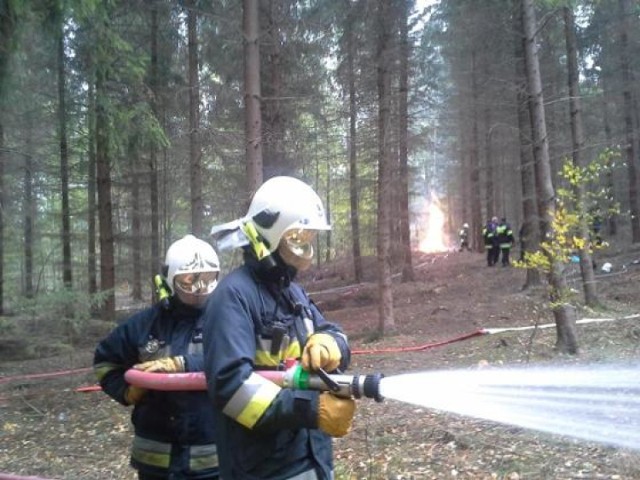 ćwiczenia strażaków w lesie