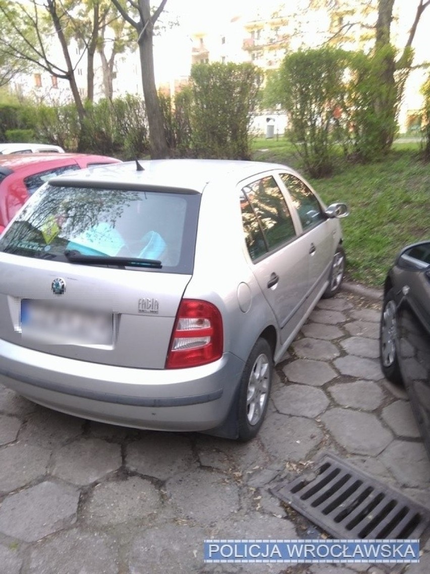 Wrocław. Pokłóciła się z ukochanym i w furii zniszczyła... siedem samochodów (ZDJĘCIA)