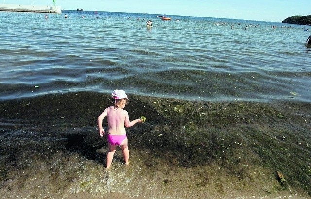 Zakaz kąpieli w Gdyni Śródmieściu obowiązywać będzie co najmniej do piątku.