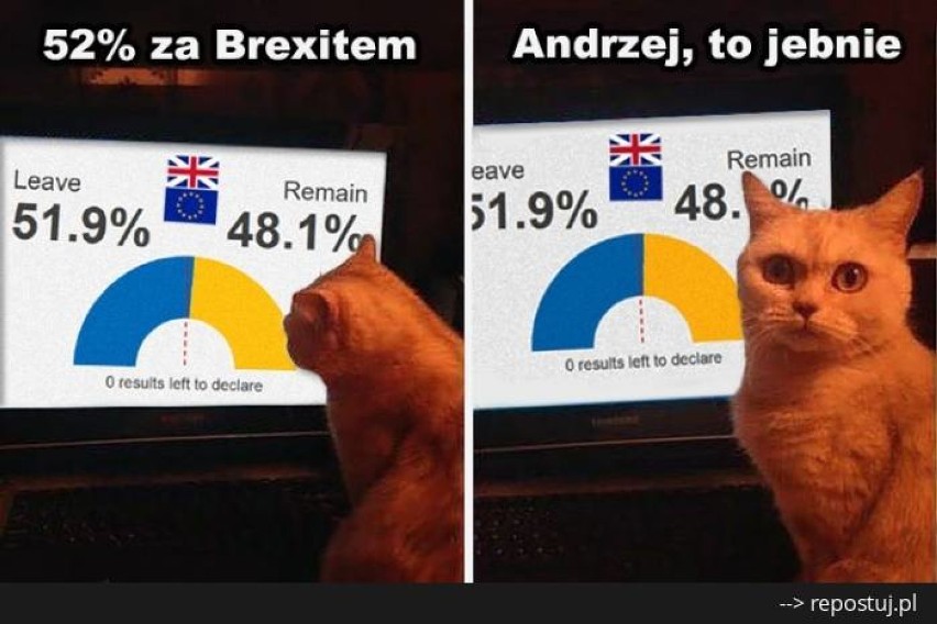 Brytyjczycy pożegnali się z UE - a co na to Internauci? [MEMY Brexit]