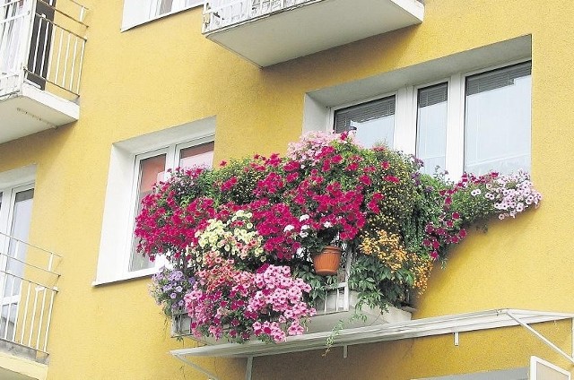 W 2010 r.  zwyciężył balkon Emilii Drygas na os. Pod Lipami