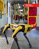 Pies-robot w zajezdni na Żoliborzu. Supernowoczesna maszyna będzie pracować przy sprawach tramwajowych?