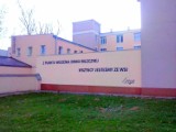 Intrygujące murale na Pradze [zdjęcia]