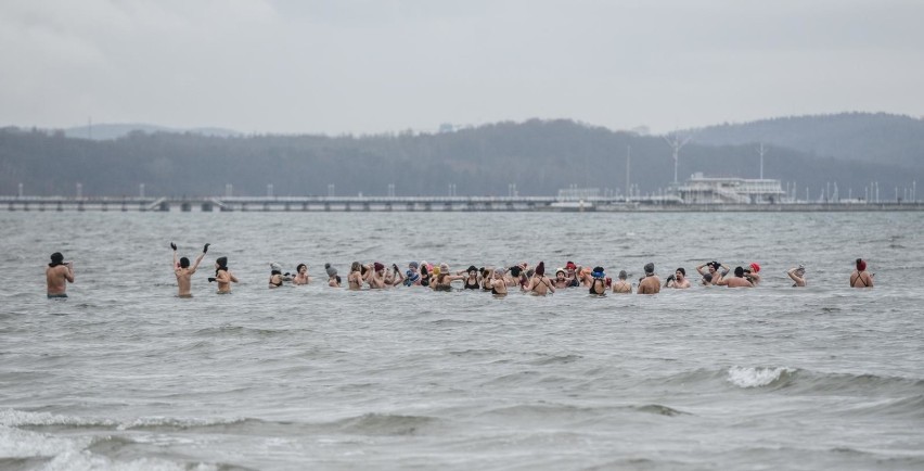 Kąpiel morsów w Morzu Bałtyckim. Rozgrzewka i morsowanie na...