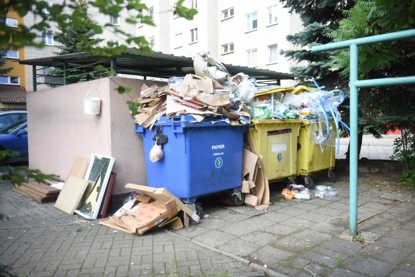 Jak właściwie segregować odpady w Szczecinie? Miała w tym pomagać aplikacja, ale... 