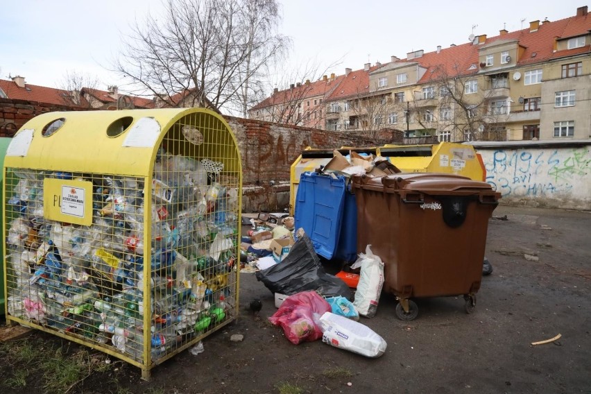 Jak właściwie segregować odpady w Szczecinie? Miała w tym pomagać aplikacja, ale... 