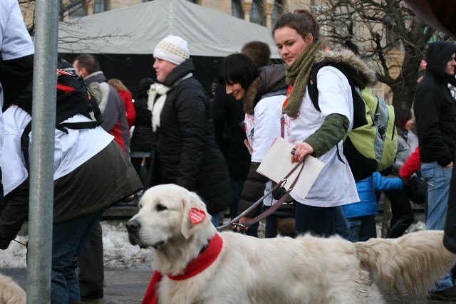 Golden Retrievery będą zbierały na WOŚP już po raz czwarty