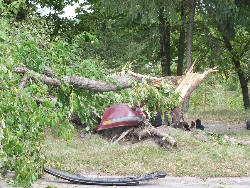 W Kraśniku volvo ścięło drzewo. Trzy osoby są lekko ranne (FOTO)