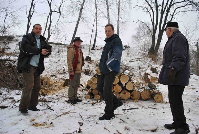 Mieszkańcy Wojkowic są przeciwni wycince drzew
