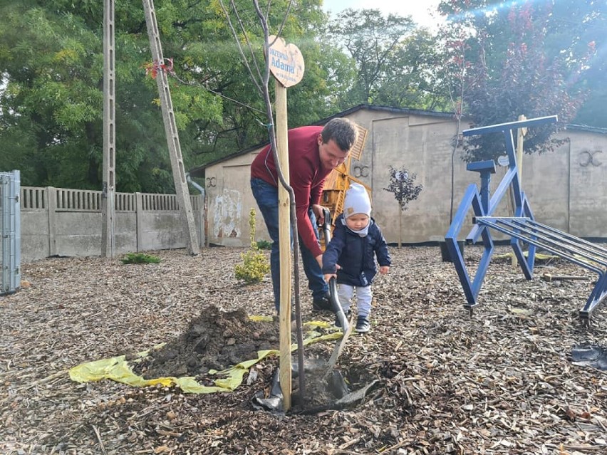 Gmina Śmigiel. Kolejne drzewka posadzone. Akcja "Drzewko Życia"