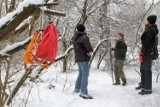 Czas na zimowe liczenie ptaków w Małopolsce [ZDJĘCIA]