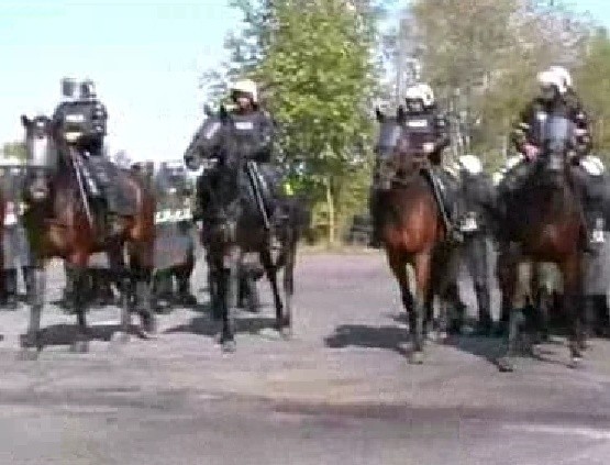 Ćwiczenia policji konnej