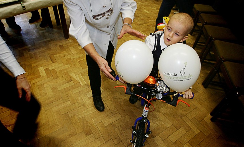 Klinika urządziła Kubie, porzuconemu przez matkę piąte urodziny