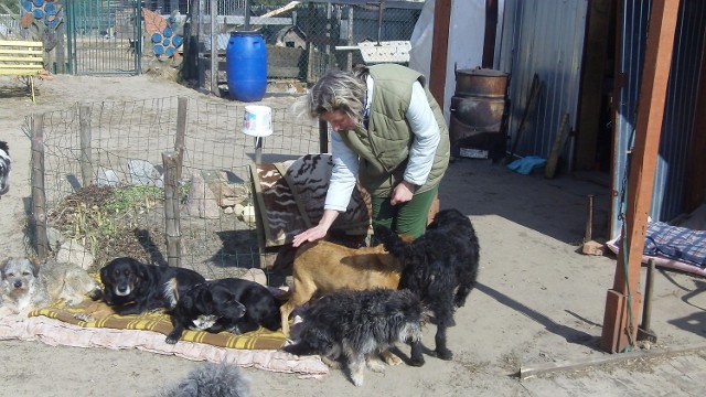 Renata Olszewska z psami w przytulisku